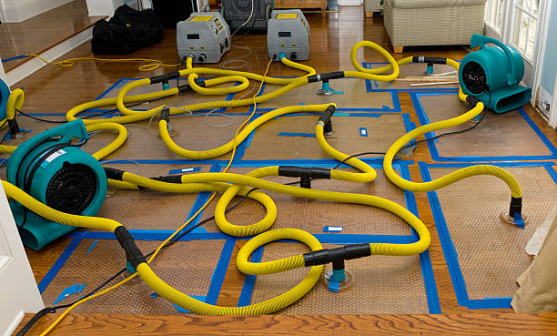 Professional Crawl Space Water Removal technician working in Orem, UT